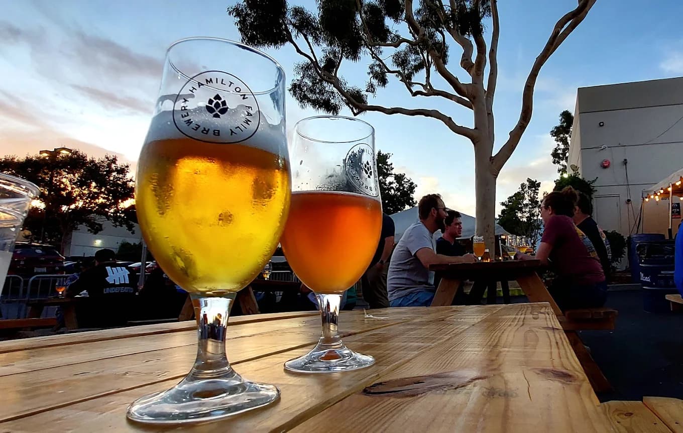 Two logo-stamped glasses of beer on a picnic table in the outdoor patio at Hamilton Family Brewery