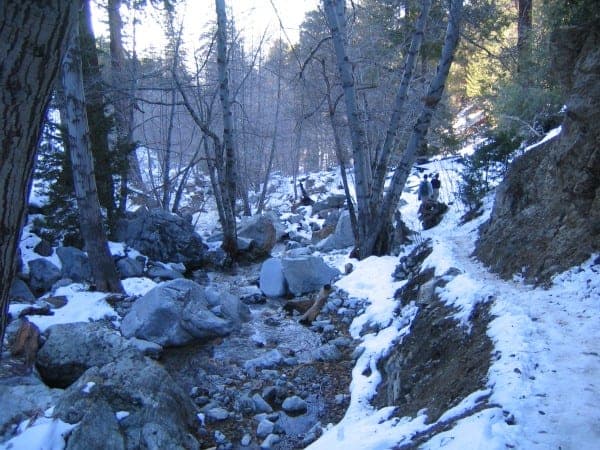 Rocky slopes and conifers rising above Icehouse Canyon near Mt. Baldy