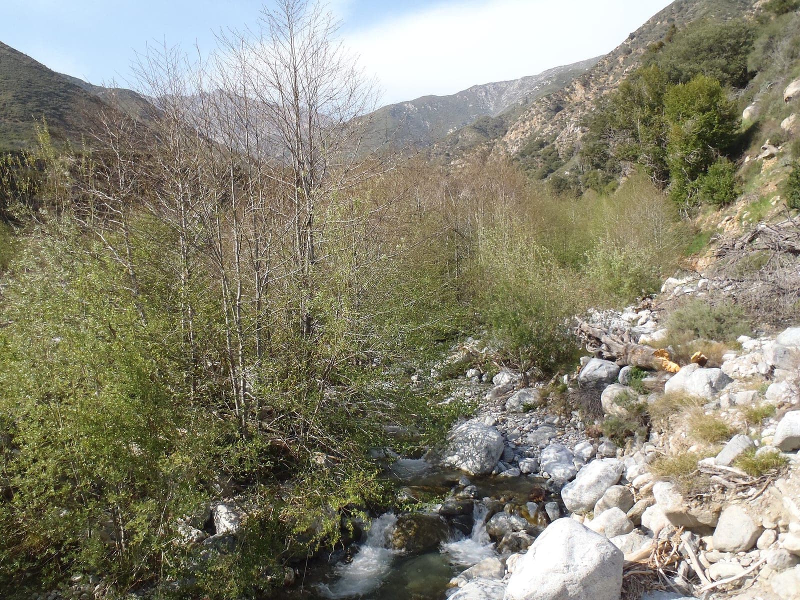 A creek running through chaparral and boulders at the North Etiwanda Preserve