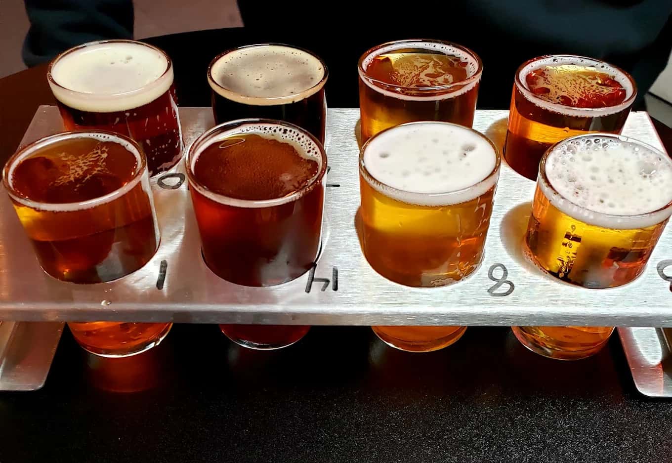 Numbered tasting flight of eight beers in a metal tray at Solorio Brewing Company